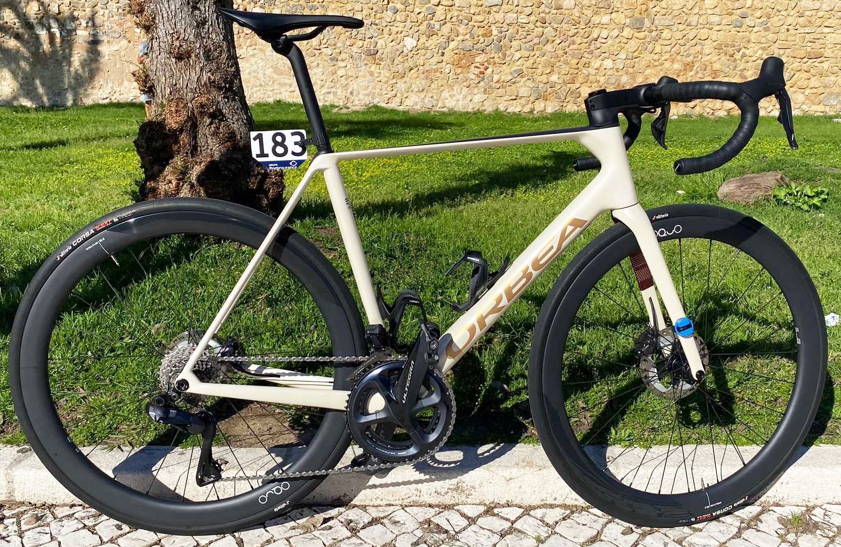 Gcn orbea hot sale orca